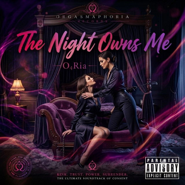 The Night Owns Me cover art